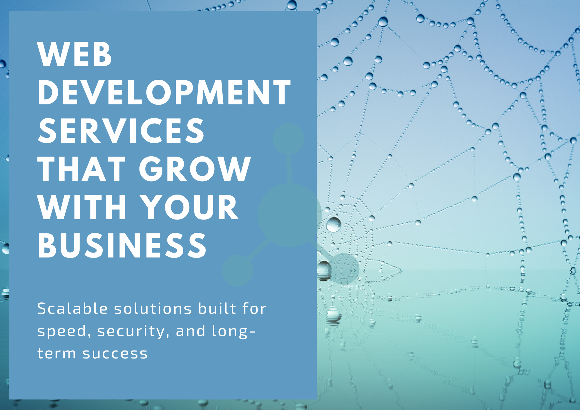 Web Development Services That Grow With Your Business